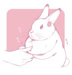  2016 ambiguous_gender dewlap_(anatomy) duo female female_focus ichthy0stega japanese_text lagomorph leporid mammal rabbit solo_focus text 