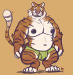  2019 anthro belly bulge clothing felid fur male mammal minedoo moobs navel nipples orange_background orange_fur overweight overweight_male pantherine pink_nose simple_background solo tiger underwear 