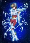  armor deletethistag diego_gon gon_illustrator los_caballeros_del_zodiaco otaku pegasus_seiya saint_seiya sakura zodiac 聖闘士星矢 