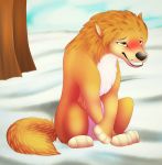  alpha_and_omega blush canid canine canis digital_media_(artwork) female feral fur kate_(alpha_and_omega) mammal orange_fur outside smile snow solo tree wolf xblueashesx 