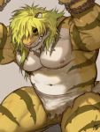  2017 balls blonde_hair bound chain clenched_teeth eyebrows felid fur gomtang green_hair green_sclera hair kneeling long_hair magan male mammal multicolored_fur multicolored_hair musclegut muscular muscular_male navel nipples pantherine solo stocky striped_fur stripes teeth tiger tokyo_afterschool_summoners two_tone_fur video_games yellow_fur 