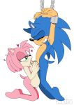  &lt;3 amy_rose anthro balls black_nose blue_fur breasts duo eulipotyphlan female fur green_eyes hair hedgehog hi_res kandlin male male/female mammal nude penis pink_fur pink_hair pregnant sex simple_background sonic_(series) sonic_the_hedgehog titfuck white_background 