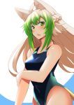  1girl ahoge alternate_costume animal_ear_fluff animal_ears arm_up atalanta_(fate) blonde_hair blush breasts cat_ears cat_tail competition_swimsuit fate/grand_order fate_(series) green_eyes green_hair groin hip_focus long_hair looking_at_viewer medium_breasts nahu one-piece_swimsuit solo swimsuit tail 