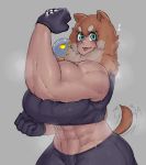  :3 abs ambiguous_gender animal_humanoid biceps big_breasts blep blue_eyes blush bodily_fluids bottomwear breasts breath brown_hair canid canid_humanoid canine canine_humanoid clothed clothing crop_top dog_humanoid duo felicia_(krekk0v) female female_focus flexing gloves hair handwear hi_res humanoid krek krekk0v machine mammal mammal_humanoid midriff multicolored_hair muscular muscular_female navel panting pants robot shirt solo_focus studded_gloves sweat tailwag tongue tongue_out topwear white_hair 
