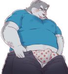  2019 anthro belly blush bottomwear canid canine clothing humanoid_hands male mammal moobs nipples overweight overweight_male pants shirt simple_background solo sv_grart tongue tongue_out topwear underwear white_background 