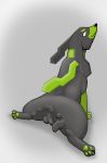  balls black_fur butt canid canine digital_media_(artwork) feral fur green_fur hi_res legendary_pok&eacute;mon looking_back male mammal nintendo nude pawpads paws pernium pok&eacute;mon pok&eacute;mon_(species) resachii simple_background solo video_games zygarde zygarde_10_forme 