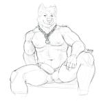  2017 akita anthro ball_tuft balls biceps canid canine canis chain domestic_dog genital_piercing greyscale hi_res humanoid_penis jewelry looking_at_viewer male mammal monochrome muscular muscular_male navel necklace nipples pecs penis penis_piercing piercing prince_albert_piercing simple_background sketch solo spitz vektor vektor_(artist) white_background 