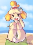  2019 animal_crossing anthro beach bikini canid canine canis clothed clothing domestic_dog female fur hair hi_res isabelle_(animal_crossing) mammal nintendo open_mouth presenting seaside shih_tzu simple_background solo suenbroe swimwear toy_dog video_games yellow_fur 