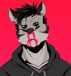  absurd_res anthro blood bodily_fluids canid canine clothing ghangaji headshot hi_res hoodie kemono male mammal nosebleed solo topwear 