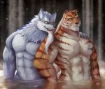  2019 7theaven absurd_res anthro bath beard canid canine canis detailed_background duo facial_hair felid fur hi_res law_(sdorica_sunset) male mammal multicolored_fur muscular muscular_male nude orange_fur pang pantherine sdorica_sunset striped_fur stripes tiger tongue tongue_out two_tone_fur water white_fur wolf yellow_eyes 