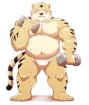  2019 absurd_res anthro barazoku belly blush bodily_fluids clothing felid fundoshi hi_res humanoid_hands japanese_clothing jumperbear male mammal moobs overweight overweight_male pantherine simple_background solo sweat tiger underwear white_background 