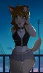  &lt;3 2019 anthro belt bottomwear breasts brown_eyes brown_hair canid canine canis clothed clothing collar cutoffs danika_(wolflady) denim denim_clothing denim_shorts digital_media_(artwork) domestic_dog female hair hand_on_head mammal midriff night open_mouth outside shorts signature sky solo standing star starry_sky wide_hips wolflady 