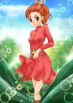  1girl arrietty breasts brown_eyes brown_hair closed_mouth commentary_request dress karigurashi_no_arrietty leaf long_hair looking_at_viewer minigirl ponytail red_dress smile solo 