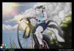  azaleesh bicycle bottomwear canid canine clothed clothing cloud male mammal maxx outside shirt shorts solo sun topwear 