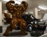  2017 4_toes abs anthro biceps black_hair black_nose bodily_fluids brown_fur bulge canid canine canis claws clothed clothing dog_tags drooling ear_piercing ear_ring echin flexing fur hair heard huge_muscles looking_at_viewer male mammal muscular muscular_male pecs piercing plantigrade saliva snarling solo speedo standing swimwear tattoo toes topless tremorwolf veiny_muscles wolf 