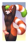  ailurid anthro erection fur girly green_hair hair hi_res humanoid_penis kdvc lockworkorange looking_at_viewer male mammal nipples nude penis pinup pose red_fur red_panda shy smile solo yellow_eyes 