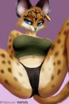  absurd_res clothing felid feline female hi_res looking_at_viewer lynx mammal miyu_lynx nintendo panties spreading star_fox underwear v-tal video_games 