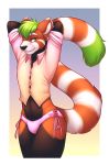  ailurid anthro clothed clothing crossdressing fur girly green_hair hair hi_res kdvc lockworkorange looking_at_viewer male mammal panties pinup pose red_fur red_panda solo underwear yellow_eyes 