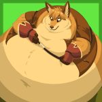  1:1 anthro belly big_belly caleb_lloyd caleblloyd canid canine clothed clothing fox fur gloves green_background handwear hi_res hyper hyper_belly male mammal morbidly_obese obese obese_male open_vest orange_fur overweight overweight_male simple_background solo tight_clothing wide_hips 