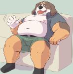  00murice 2019 anthro belly black_nose bottomwear canid canine canis clothed clothing domestic_dog hi_res male mammal moobs navel nipples open_shirt overweight overweight_male shirt shorts sitting sofa solo tongue tongue_out topwear 