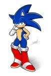  absurd_res boots clothing crossgender eulipotyphlan female footwear gloves handwear hedgehog hi_res jaynatorburudragon mammal sonic_(series) sonic_the_hedgehog 