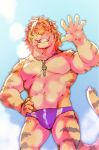  2019 absurd_res anthro biceps biped clothed clothing cloud felid fur hair heylaw21 hi_res mammal multicolored_fur nomad_(tas) one_eye_closed orange_fur pantherine pecs pendant red_eyes red_hair sky smile solo speedo standing striped_fur stripes swimwear tan_fur tiger tokyo_afterschool_summoners triceps two_tone_fur video_games 