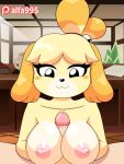  2019 2d_animation :3 alfa995 animal_crossing animated anthro areola big_breasts black_nose blonde_hair blush blush_stickers breasts canid canine canis digital_media_(artwork) domestic_dog erect_nipples female frame_by_frame hair isabelle_(animal_crossing) male male/female mammal nintendo nipples patreon penis sex shih_tzu smile solo_focus titfuck toy_dog video_games 