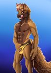  2019 abs anthro bulge canid canine canis clothed clothing digital_media_(artwork) fluffy fur hair looking_at_viewer male mammal muscular muscular_male nanukkluik nipples open_mouth pecs pinup pose rock(rocker234) rocker smile solo swimwear tongue underwear wolf 