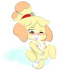  2018 animal_crossing anthro blush bodily_fluids breasts canid canine canis domestic_dog female fur genital_fluids hair isabelle_(animal_crossing) mammal masturbation nintendo nipples nude one_eye_closed open_mouth pussy pussy_juice shih_tzu simple_background solo toy_dog vaginal vaginal_masturbation vallycuts video_games yellow_fur 