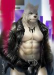  2019 abs belt black_nose canid canine canis clothed clothing dalluwn fur green_eyes hair jacket jewelry leather leather_jacket looking_at_viewer male mammal muscular muscular_male navel necklace nipples obliques open_jacket pink_nipples pinup pocky pose skimpy solo topwear white_fur white_hair wolf 