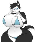  2019 anthro big_breasts bikini black_fur black_nose blue_eyes breasts canid canine canis chloe_lockhart_(lildredre) cleavage clothed clothing digital_media_(artwork) domestic_dog eyebrows eyewear female fingers fur glasses hair hayakain huge_breasts husky looking_at_viewer mammal navel nordic_sled_dog simple_background smile solo spitz standing swimwear thick_thighs voluptuous white_background white_fur wide_hips 