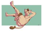  anus balls butt dmitrydraws domestic_cat felid feline felis male mammal nude presenting presenting_hindquarters solo 