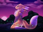  4:3 ambient_firefly ambient_insect anthro arthropod beetle breasts butt canid canine digimon digimon_(species) female firefly fur hi_res insect mammal night nipples pond pussy renamon sitting solo thekirinwolf 
