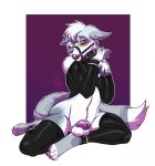  anthro ball_gag balls blush canid canine chastity_device clothed clothing collar crossdressing gag hi_res lavenderpandy looking_at_viewer male mammal rubber solo wide_hips 
