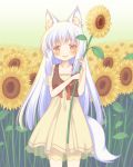  1girl :d animal_ear_fluff animal_ears blush bow breasts brown_dress brown_eyes brown_vest collarbone commentary_request dress flower fox_ears fox_girl fox_tail hands_up holding holding_flower long_hair open_mouth original pleated_dress red_bow sakurato_ototo_shizuku see-through see-through_sleeves silver_hair small_breasts smile solo standing sunflower tail very_long_hair vest yellow_flower 