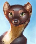  2019 alectorfencer black_nose brown_fur digital_media_(artwork) fur green_eyes headshot_portrait looking_at_viewer mammal marten mustelid musteline portrait sky smile solo tan_fur 