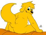  4:3 anthro biped butt canid canine canis doggettdouglasmcdog domestic_dog fur hi_res looking_at_viewer looking_back male mammal sitting sofa solo yellow_fur 