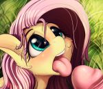  2019 alcor90 disembodied_penis duo earth_pony equid equine female feral fluttershy_(mlp) friendship_is_magic grass hi_res horse humanoid_penis male male/female mammal my_little_pony open_mouth outside penis pony solo_focus tongue tongue_out 