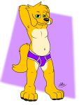  anthro belly big_belly biped bulge canid canine canis clothing doggettdouglasmcdog domestic_dog fur hands_behind_head hi_res looking_at_viewer male mammal multicolored_fur navel pose smile solo standing two_tone_fur underwear white_fur yellow_fur 