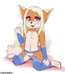  big_tail blush bow_tie canid canine clothed clothing cub female fennec flat_chested fox hi_res leggings legwear lingerie looking_at_viewer mammal panties r3drunner seducing seductive skimpy solo teasing topless underwear young 