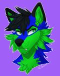  2018 black_hair black_nose blue_fur canid canine canis citrinelle digital_media_(artwork) fur green_eyes green_fur hair mammal simple_background solo wolf 