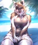 anthro beach big_breasts blush breasts canid canine clothing female hi_res kemono legwear mammal nipple_outline one-piece_swimsuit seaside seductive slightly_chubby solo swimwear tetto thick_thighs wide_hips 