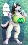  anthro big_breasts breasts canid canine canis clothed clothing dialogue domestic_dog english_text female hi_res huge_breasts husky mammal nordic_sled_dog open_mouth potionmastercernun smile solo spitz sprite standing suggestive text 