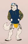  2019 4_toes anthro black_nose brown_eyes bulge canid canine canis claws clothed clothing digital_drawing_(artwork) digital_media_(artwork) eyebrows facial_piercing fluffy fraye frosted_tips full-length_portrait fur hi_res hoodie jockstrap koorivlf lip_piercing lip_ring looking_aside male mammal muscular muscular_male partially_clothed paws penis_outline piercing portrait signature simple_background smile snout solo standing tattoo teeth toes topwear underwear white_fur wolf 