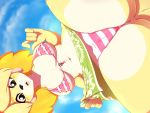  2019 4:3 animal_crossing anthro bikini blonde_hair blush blush_stickers breasts camel_toe canid canine canis clothed clothing digital_media_(artwork) domestic_dog female hair hi_res isabelle_(animal_crossing) looking_at_viewer mammal navel nintendo open_mouth rainbowscreen shih_tzu solo swimwear toy_dog video_games 