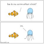  1:1 ambiguous_gender blue_body border cnidarian comic duo english_text feral fish jellyfish jimmy_craig marine medusozoan orange_body simple_background text theycantalk white_background white_body white_border 