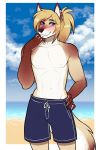  anthro beach canid canine canis clothed clothing domestic_dog hi_res hybrid looking_at_viewer male mammal outside porin seaside smile solo standing swimming_trunks swimwear topless wolf 