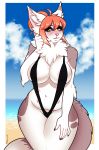  anthro beach bikini blush breasts clothed clothing felid feline female hi_res looking_at_viewer mammal outside porin seaside slightly_chubby sling_bikini solo standing swimwear teats thick_thighs voluptuous wide_hips 