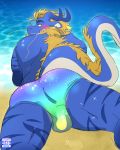  2019 anthro beach bulge butt clothed clothing dragon facial_hair hair hi_res horn loneliestbara looking_back lying male on_front rear_view sea seaside skimpy solo swimwear water 