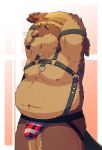  2019 absurd_res anthro beaver belly brown_fur bulge clothing fur hi_res humanoid_hands jockstrap male mammal moobs navel nipples nookdae overweight overweight_male rodent solo underwear 